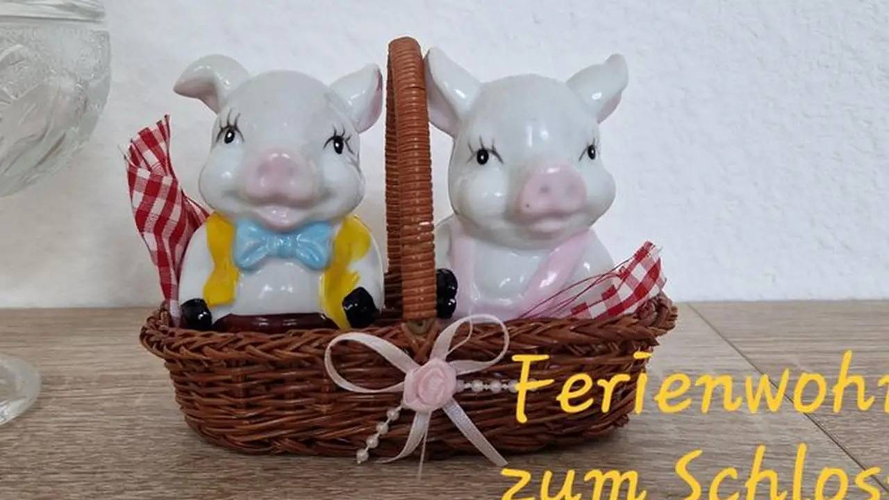 Ganze Ferienwohnung, Ferienwohnung für 4 Personen (44 m²) in Plauen in Plauen, Chemnitz und Umgebung