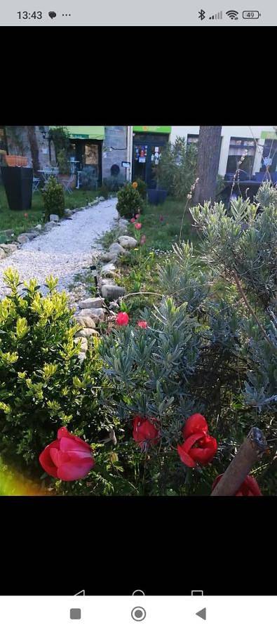 Location de vacances pour 2 personnes, avec terrasse ainsi que jardin et piscine à Casteil - 3