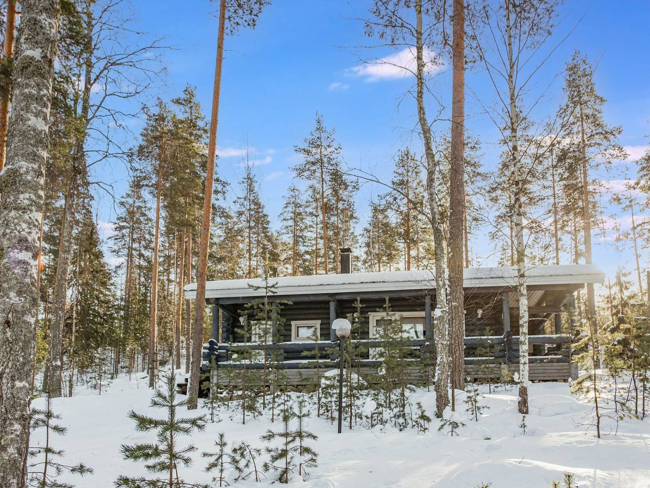 Joutsen in Puumala, Südsavo