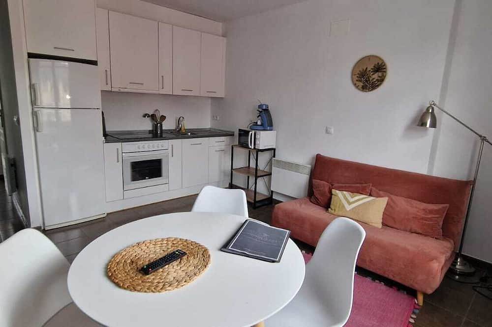 Geheel appartement, \"Castėléma\" Apartment near the sanctuary in Lourdes, Hautes-Pyreneeën