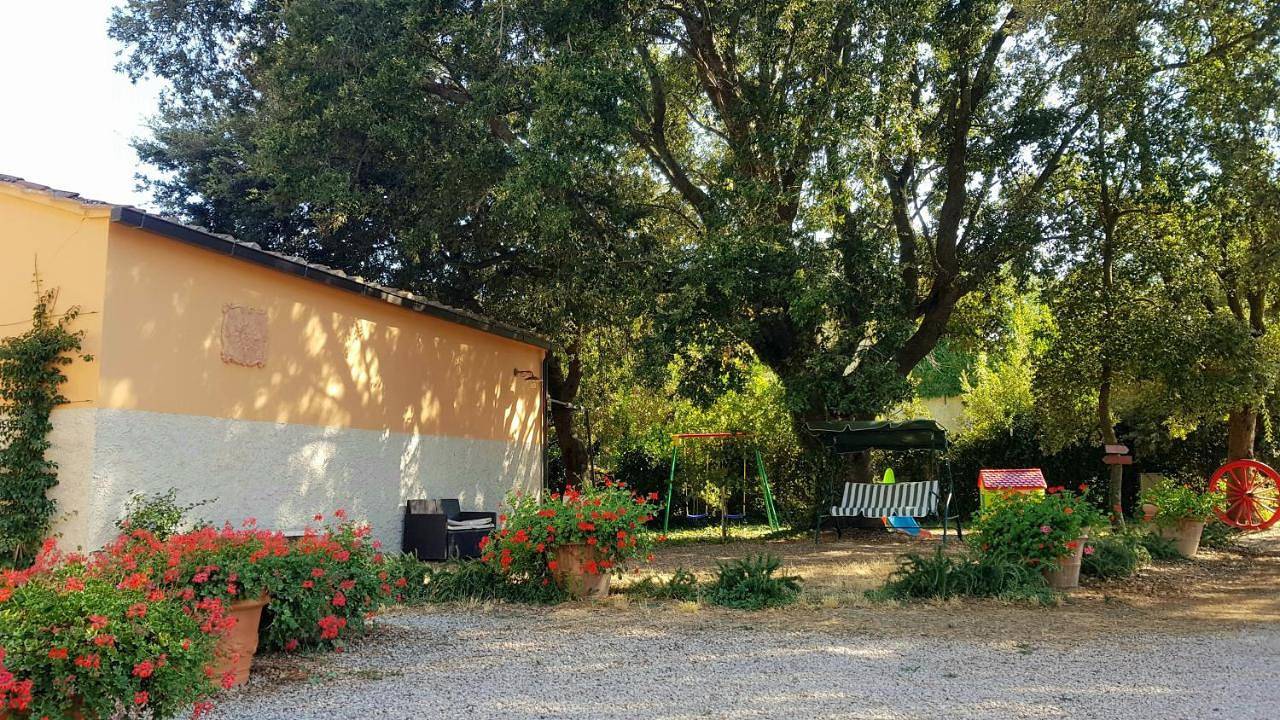 Punta dei Lecci in Riparbella, Etruskische Küste