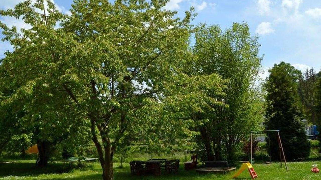 Apartamento vacacional entero, Ferienwohnung für 2 Personen (32 m²) in Waldeck (Hessen) in Principado de Waldeck, Waldecker Land