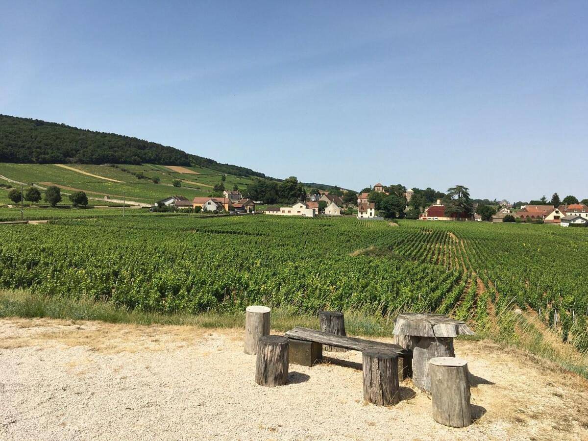 Appartement entier, One-Bedroom Apartment in Gevrey-Chambertin, Région de Dijon