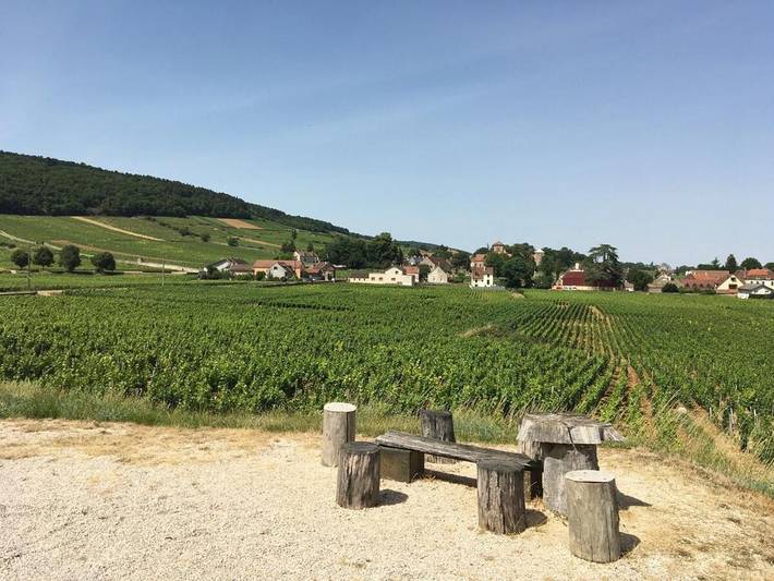 Gîte pour 3 personnes, avec vue à Gevrey-Chambertin - 2