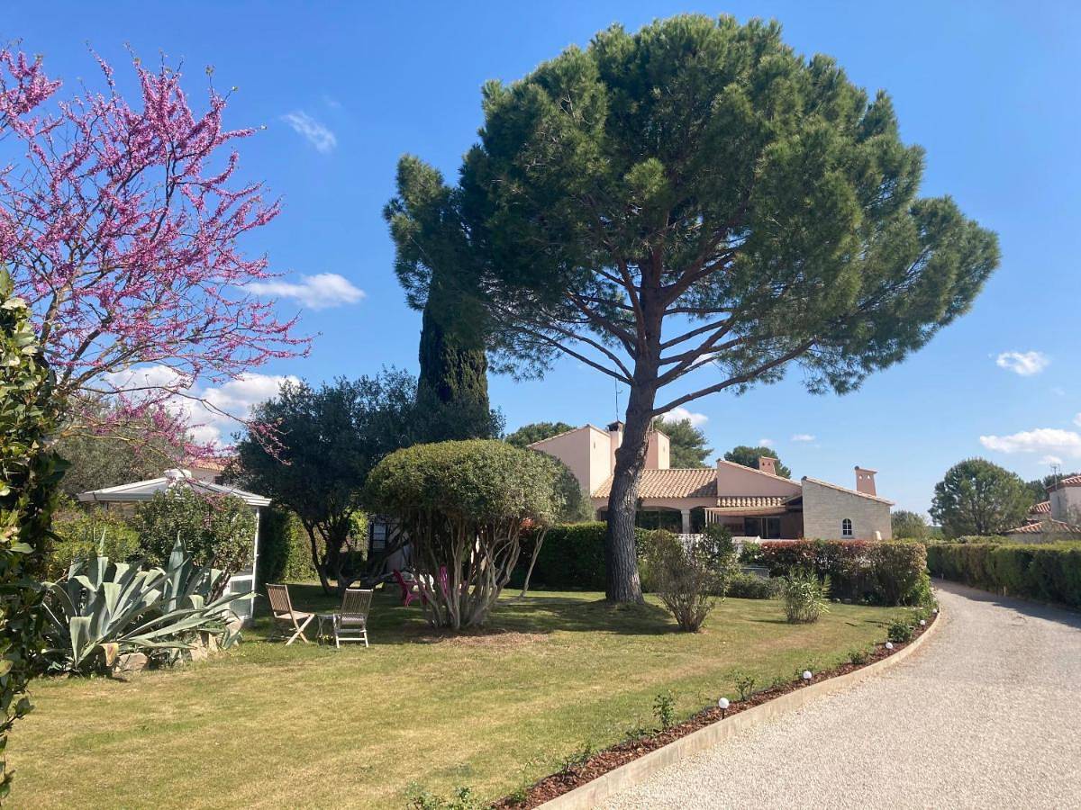 Les Bougainvillées de Camargue in Villetelle, Côte méditerranéenne (France)