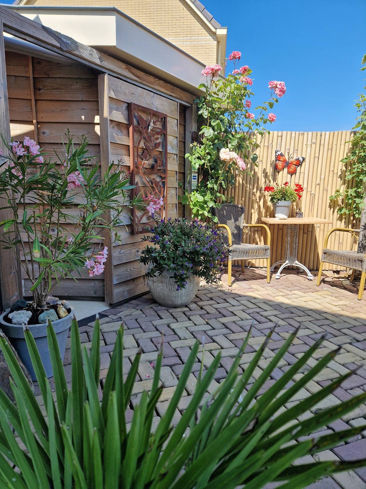 Callinghe Vakanties — Wellness Studio Bed near Beach | Sauna | 2 Pers.  in Callantsoog, Noord-Holland - Nordseeküste