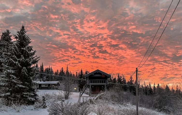 Ferienhaus für 6 Personen, mit Garten und Terrasse, mit Haustier in Trysil - 3