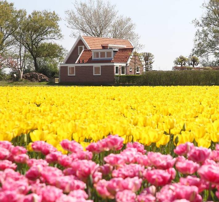 Ferienhaus für 4 Personen, mit Garten und Ausblick in 't Zand