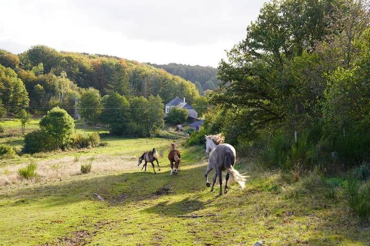 Maison d’hôte pour 2 personnes, avec jardin et vue en Auvergne