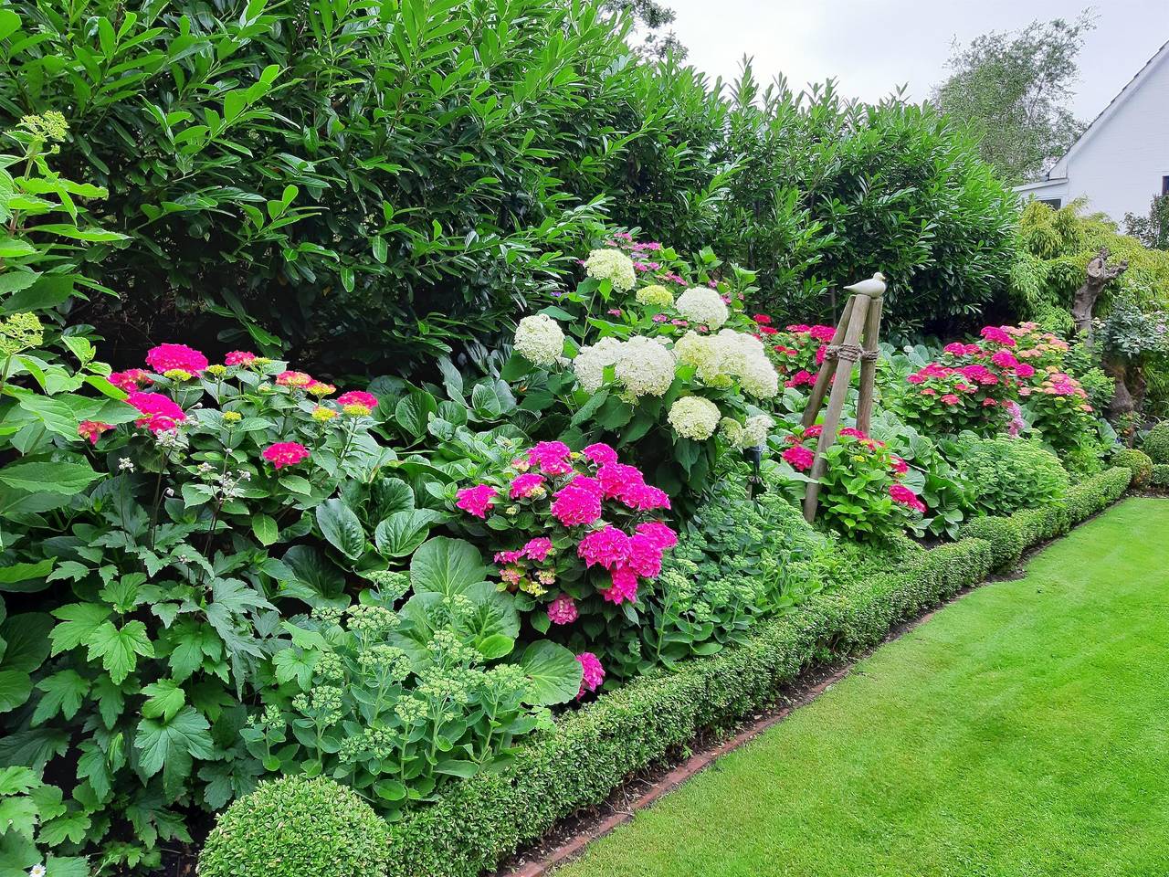 Ganze Ferienwohnung, 1 Zim.-App. Möwe in St. Peter-Ording, Eiderstedt