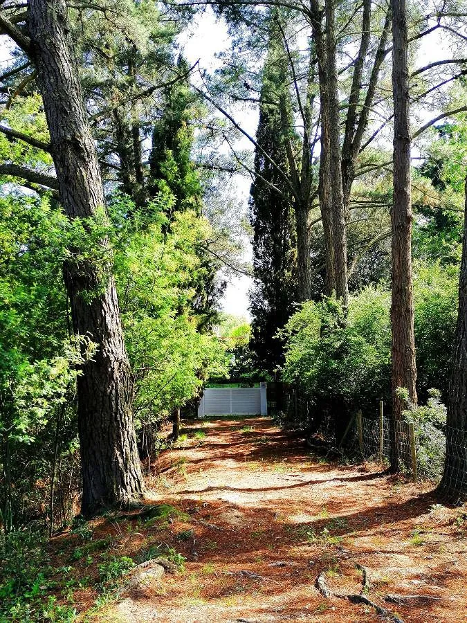 Appartement de vacances pour 2 personnes, avec jardin et vue - 1