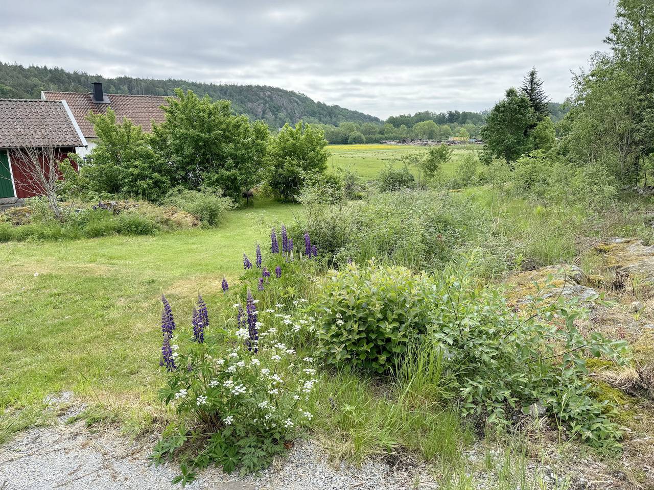 Se09062 in Varekil, Orust