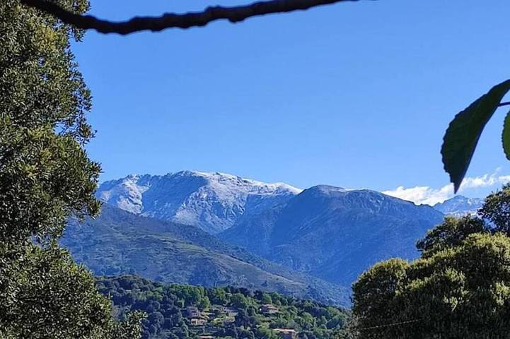 Villa 10 Personnes au Calme Entre mer et Montagne. 5 Chambres, 5 Salles de Bain in Vico, Ajaccio und Umgebung