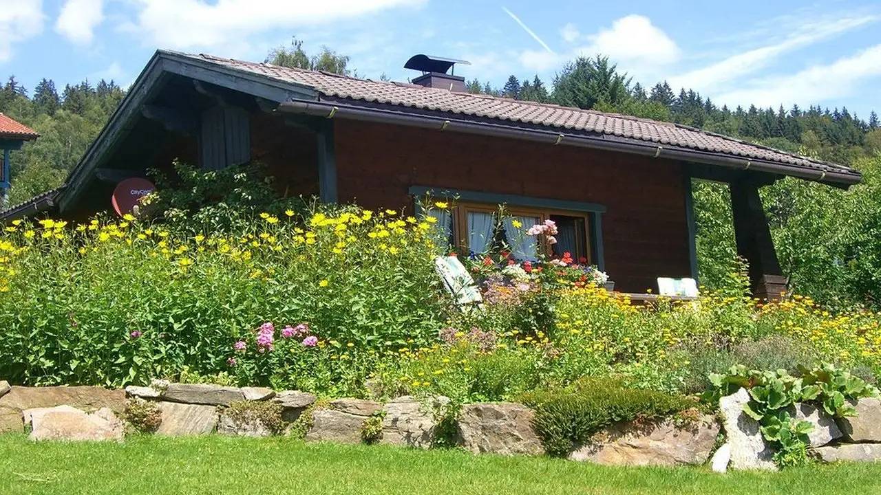 Ferienhaus für 2 Personen (45 m²) in Zwiesel in Zwiesel, Ostbayern