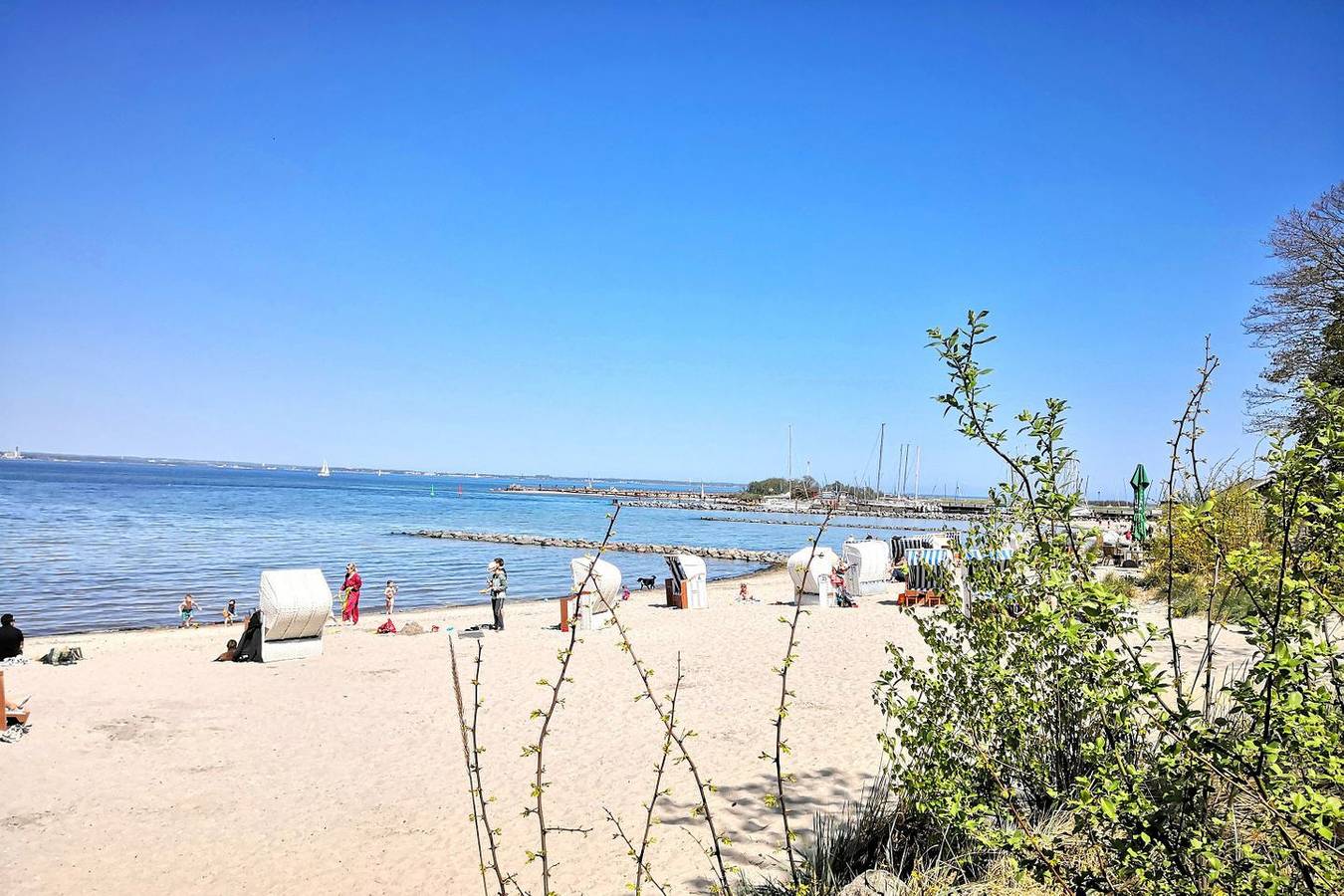 Herzlich Willkommen im Haffhuus51! in Gronenberg, Scharbeutz