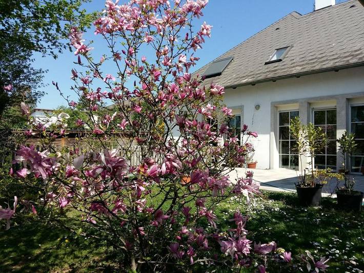 Ferienwohnung für 6 Personen, mit Terrasse und Garten sowie Pool in Neusiedl am See