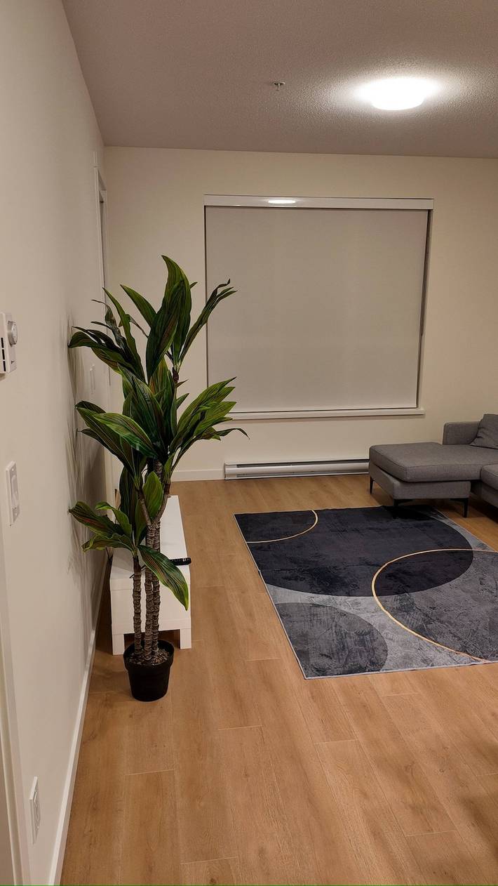 Ganze Wohnung, Moderner Rückzugsort in Surrey Stilvolles Apartment mit voller Barrierefreiheit in Surrey (BC), British-Columbia