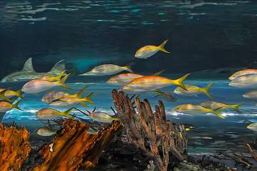 Chalet for 8 Guests in Pigeon Forge, Sevier County, Picture 2