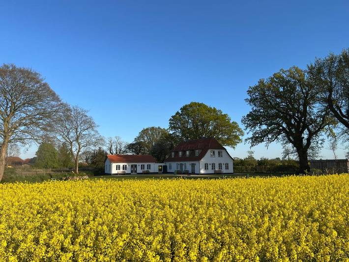 Villa für 8 Personen, mit Ausblick und Garten - 1