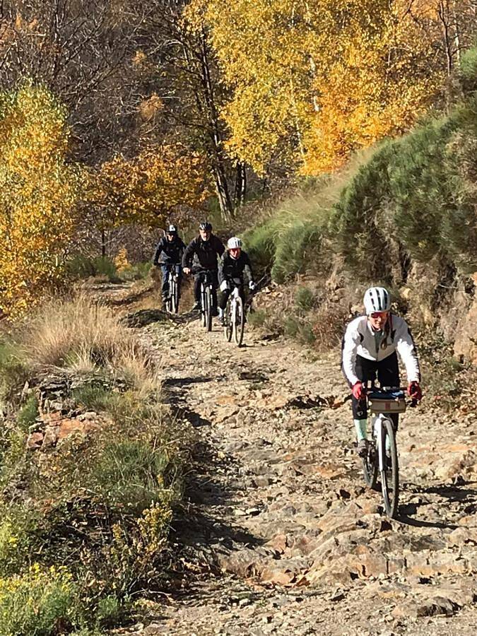 Location de vacances pour 14 personnes, avec terrasse et vue, animaux acceptés à Prévenchères - 4