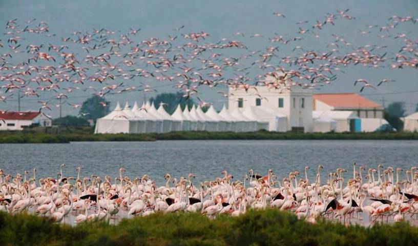 Location de vacances pour 4 personnes, avec jardin et terrasse dans Els Muntells - 4