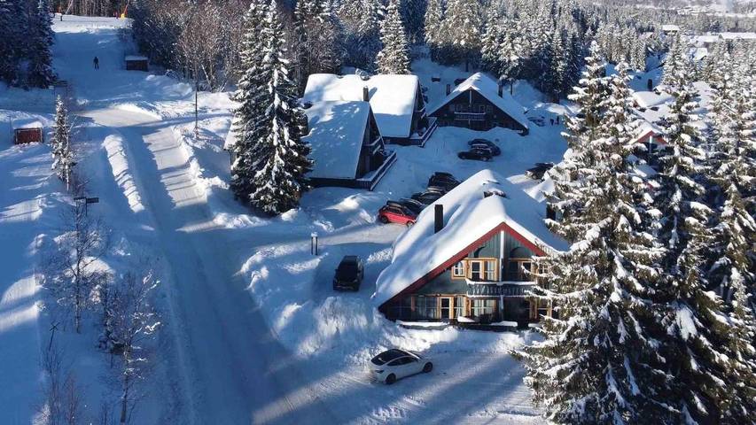 Ferienhaus für 16 Personen, mit Whirlpool und Terrasse sowie Sauna in Trysil - 4