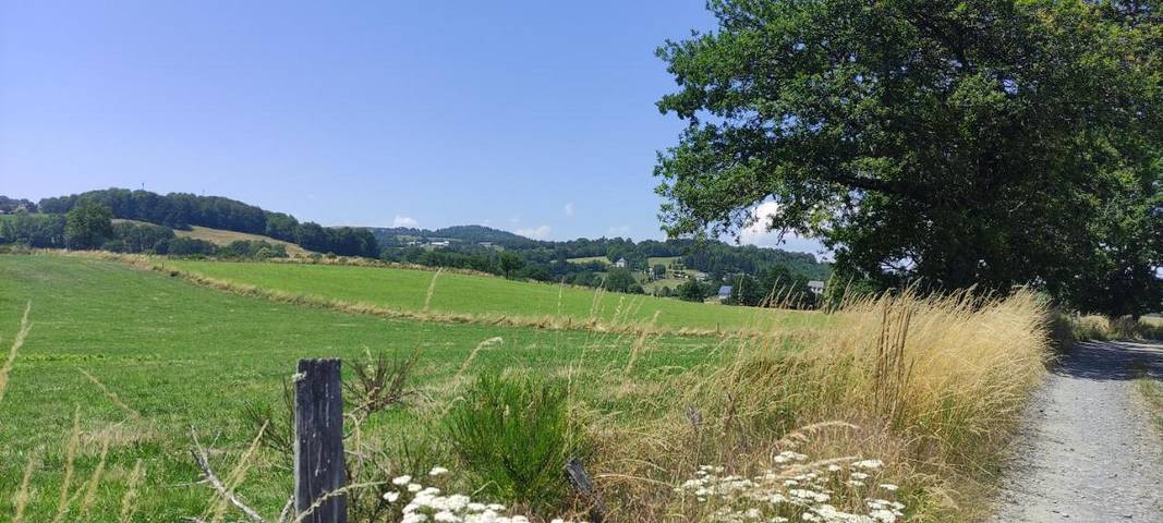 Location de vacances pour 7 personnes, avec vue et jardin dans Neuvéglise-sur-Truyère - 3