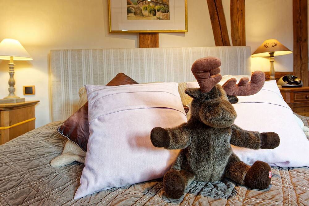 Appartement entier, Le Grand Cerf vues panoramiques in Riquewihr, Parc naturel régional des Ballons des Vosges
