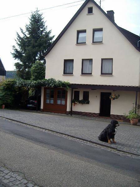 Ferienwohnung für 4 Personen, mit Balkon, mit Haustier in Roßbach