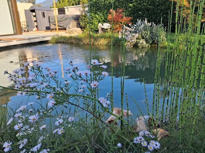 Location de vacances pour 3 personnes, avec jardin et jacuzzi à Lumbin - 2