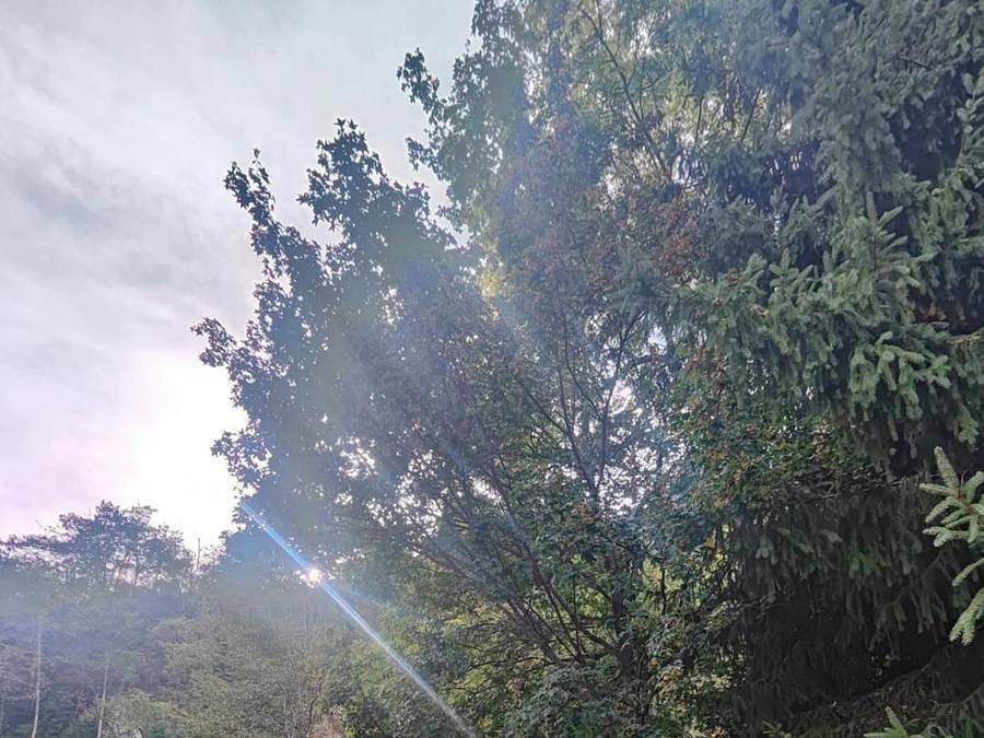 Camping Les Tilleuls - Tiny house 2 personnes - Cabane Iris in Gèdre, Parc national des Pyrénées