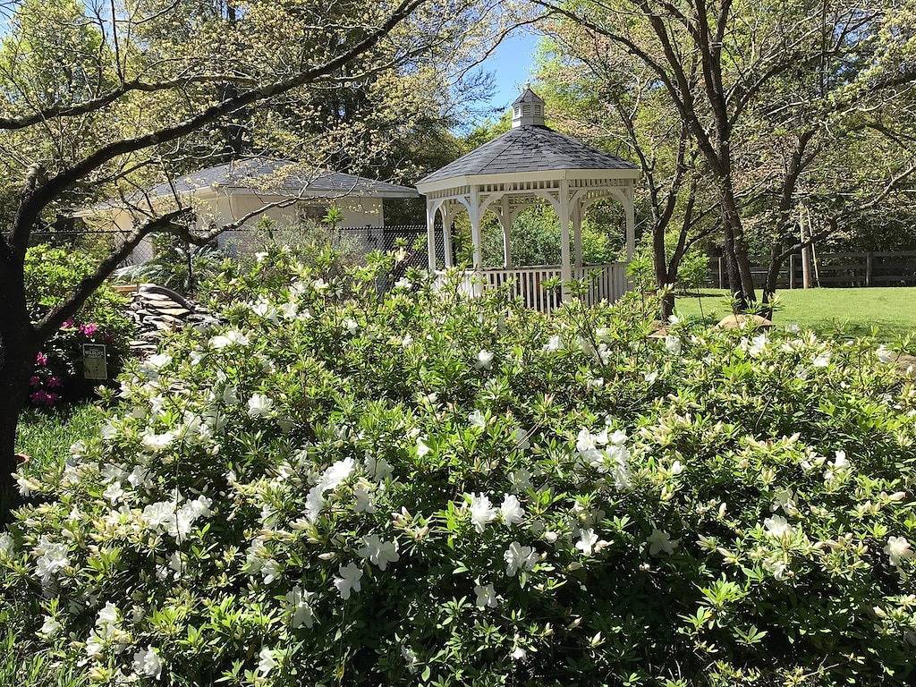 The Mockingbird Suite in Aiken County