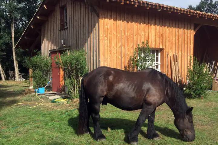 Ferme pour 2 personnes, avec jardin en Gironde - 2