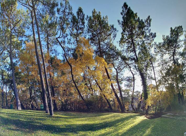 Chambre d’hôte pour 2 personnes, avec jardin dans le Pas-de-Calais - 3
