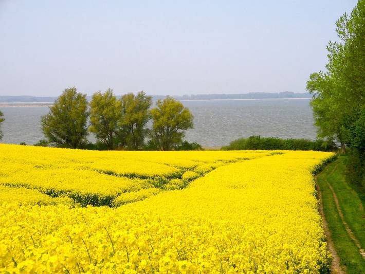 Ferienhaus Bohne in Kenz-Küstrow, Vorpommern-Rügen