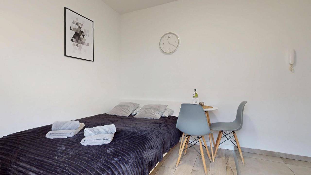 Cały apartament, Studio Apartment in Rybnik, Śląsk