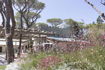 Glamping voor 2 Personen in Marina di Castagneto Carducci, Toscane, Afbeelding 2