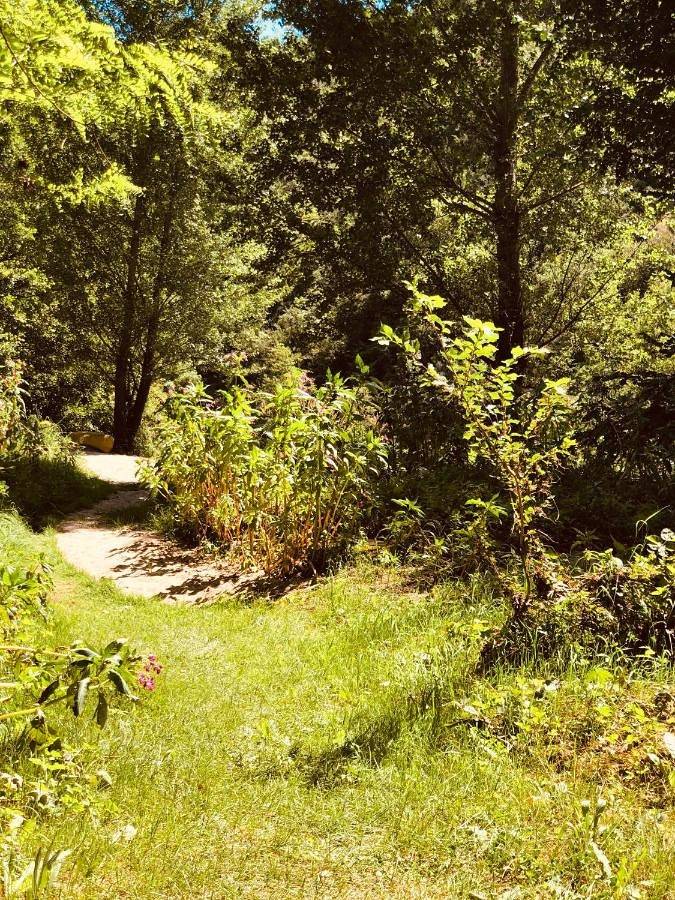 Hôtel pour 3 personnes, avec jardin ainsi que piscine et terrasse, animaux acceptés à La Canourgue - 3