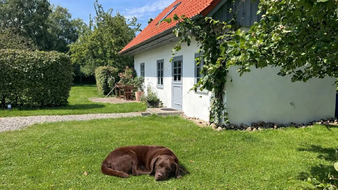 Ferienhaus für 4 Personen (70 m²) in Behrensdorf in Behrensdorf, Südliche Ostseeküste