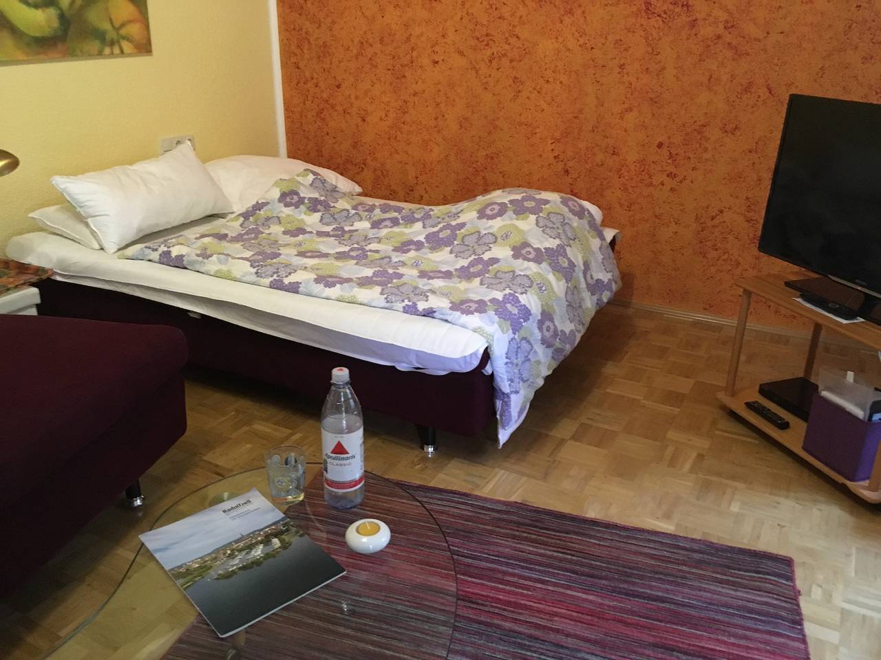 Ganze Ferienwohnung, Ferienwohnung Altstadt, Marlene Christ - 1-Zimmer-Fewo, 52 m², Eg in Radolfzell, Radolfzell am Bodensee