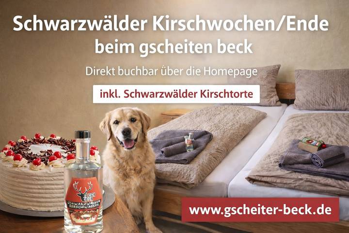 Appartement entier, Appartement "Single Fewo Gscheiter Beck" avec terrasse partagée, jardin privé et Wi-Fi in Altglashütten (Feldberg), Feldberg