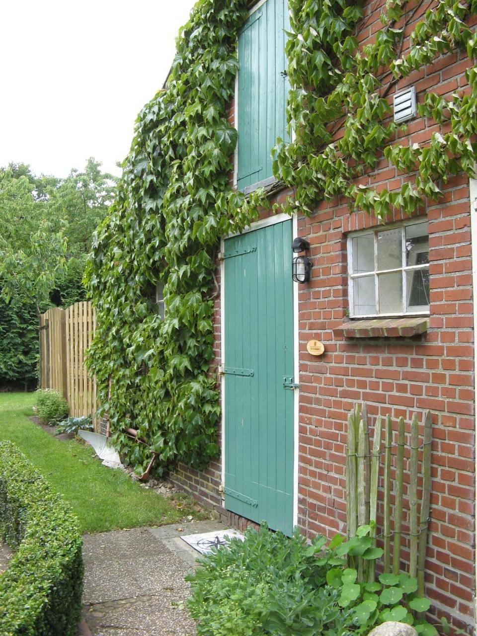 One-Bedroom House in Drenthe