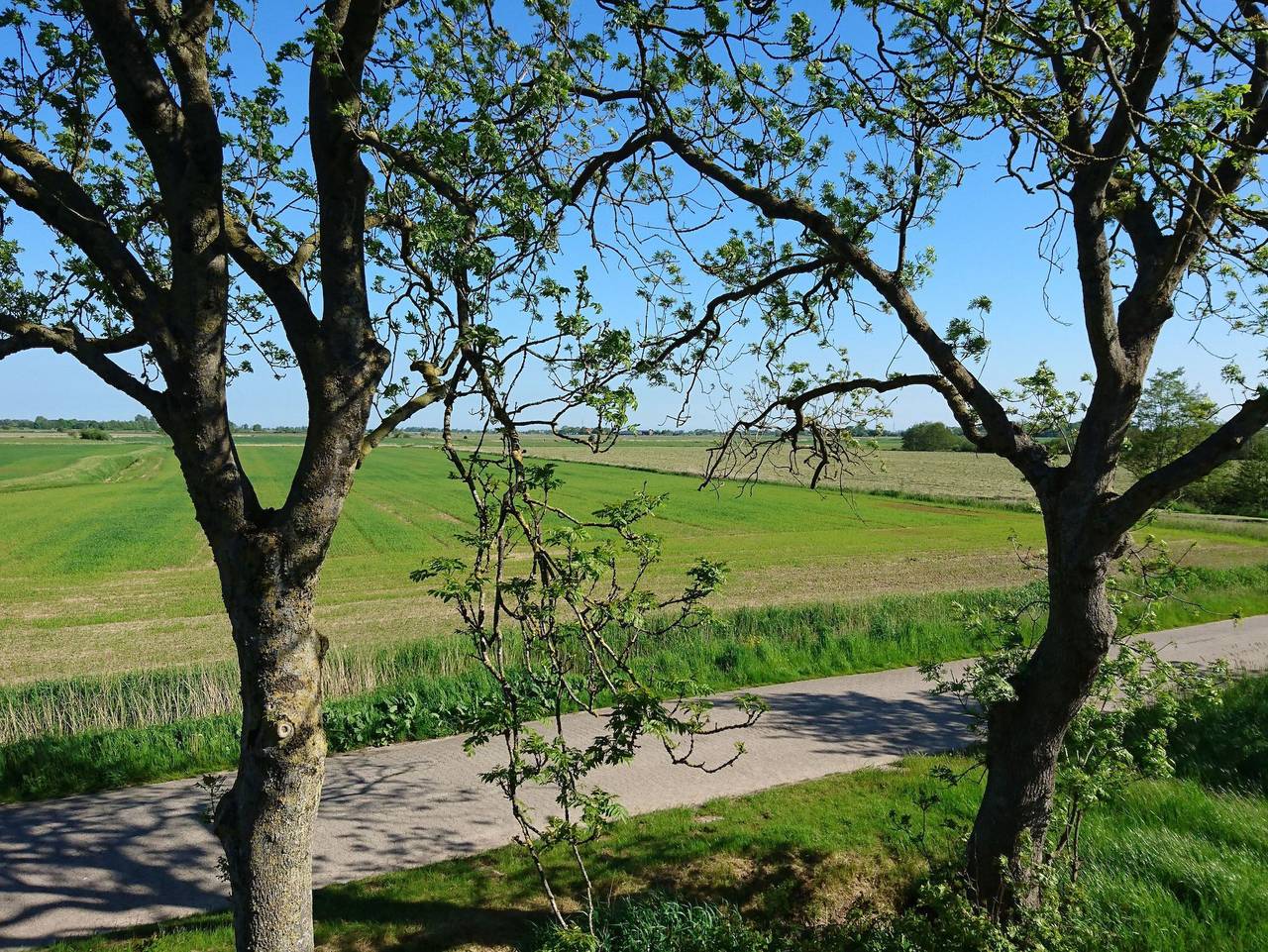 Ganze Ferienwohnung, Ferienwohnung- Suntken - Ferienwohnung Suntken in Stedesdorf, Landkreis Wittmund