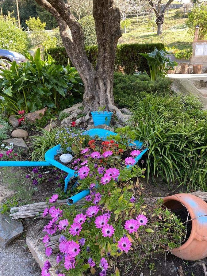 El Porxo de Can Baixeres in Montseny, Barcelone l'intérieur des terres