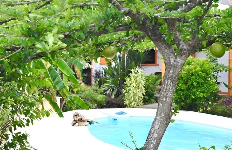 Location de vacances pour 3 personnes, avec jardin et piscine à Le Gosier - 2