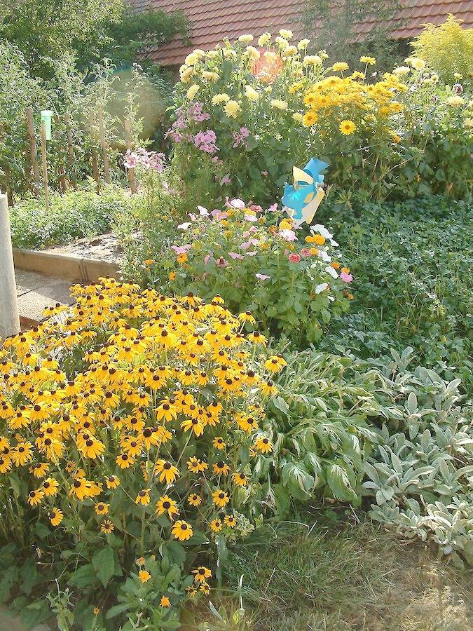 Bauernhof für 4 Personen, mit Garten, mit Haustier in Fränkisches Seenland - 4