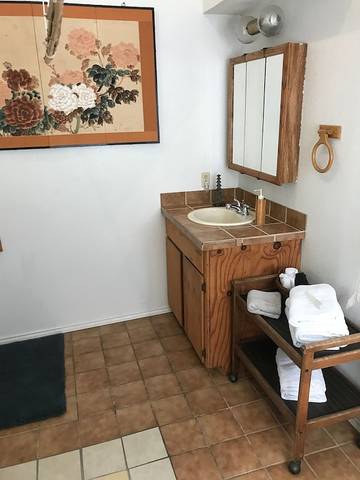 Vacation House for 10 Guests in Austin (TX), Travis County, Picture 4