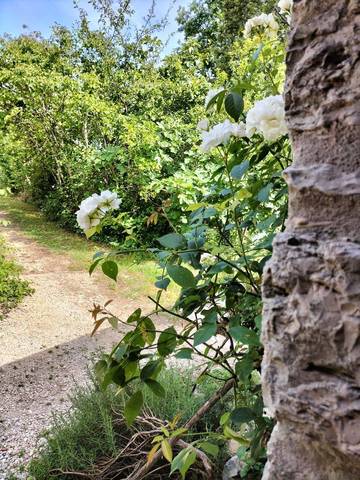 Gîte pour 2 Personnes dans Albas, Lot, Photo 4