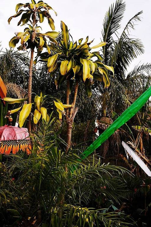 Cottage for 2 People in East Fremantle, Western Australia