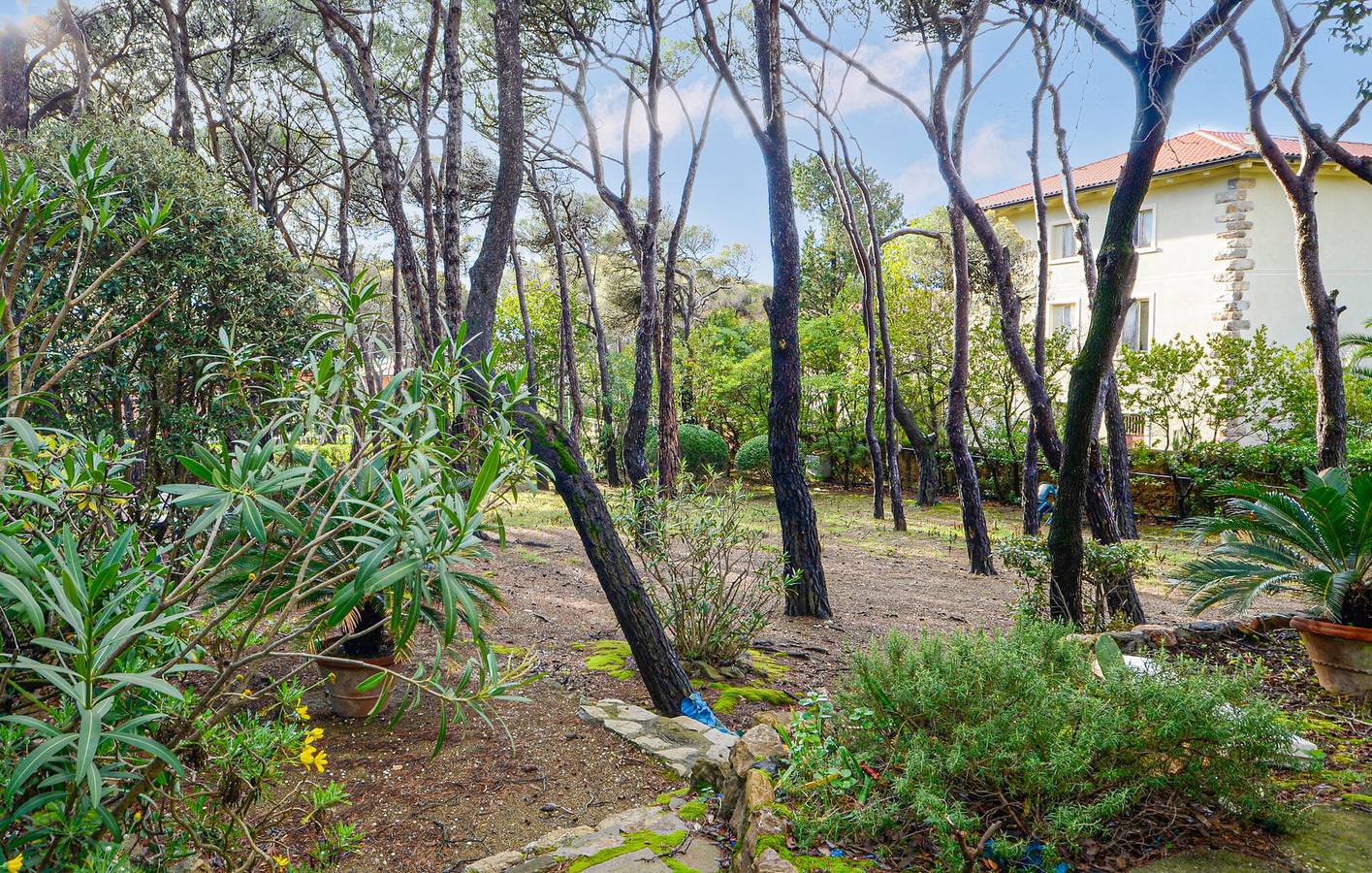 Acogedor apartamento con wifi, terraza y jardín - A 700 m de la playa de Cala del Leone in Livorno, Costa Etrusca